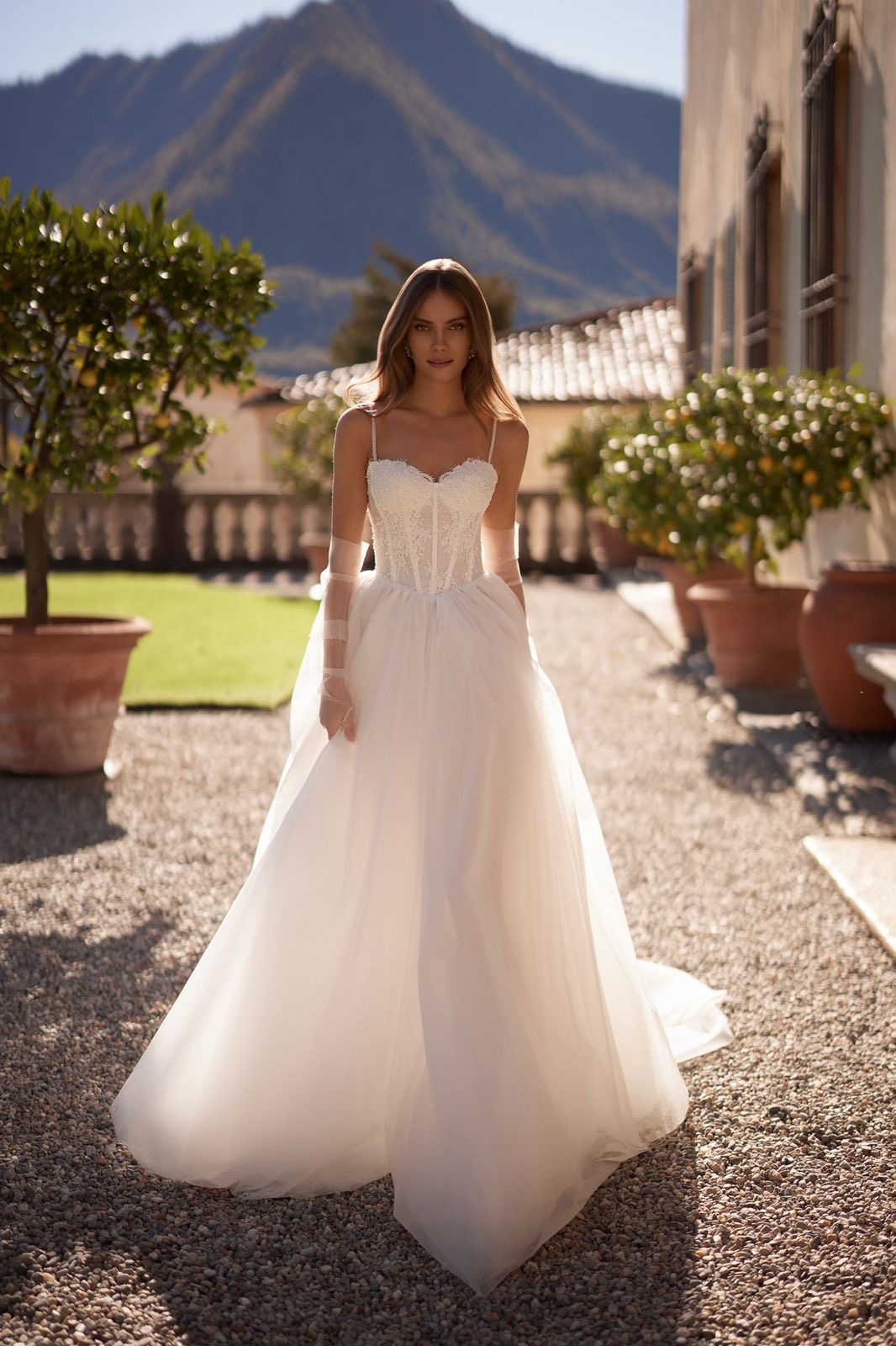 66549800-dff3-44a3-a500-766afe35965d